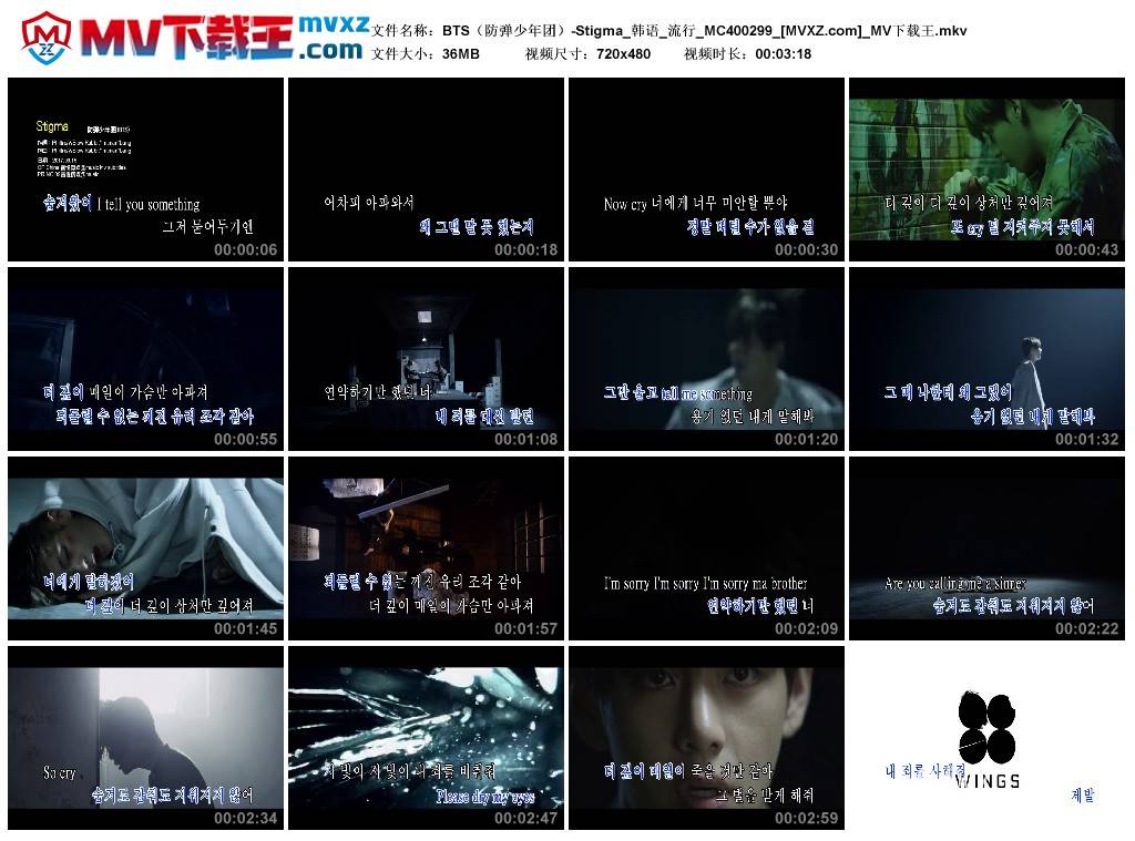 BTS（防弹少年团）-Stigma_韩语_流行_MC400299